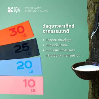 SOMDUL ยางยืดออกกำลังกาย Latex Resistance Bands | ฟิตหุ่น สร้างกล้าม เน้นกระชับสัดส่วน