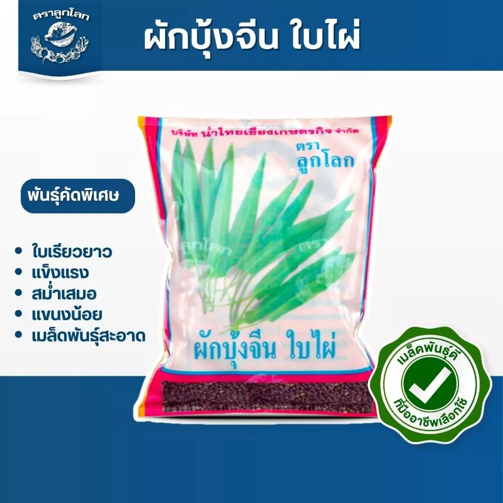 ตราลูกโลก เมล็ดผักบุ้งใบไผ่ Morning glory เมล็ดพันธุ์ผัก ผักสวนครัว ผักซอง