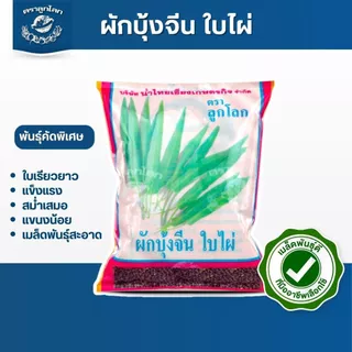 ตราลูกโลก เมล็ดผักบุ้งใบไผ่ Morning glory เมล็ดพันธุ์ผัก ผักสวนครัว ผักซอง