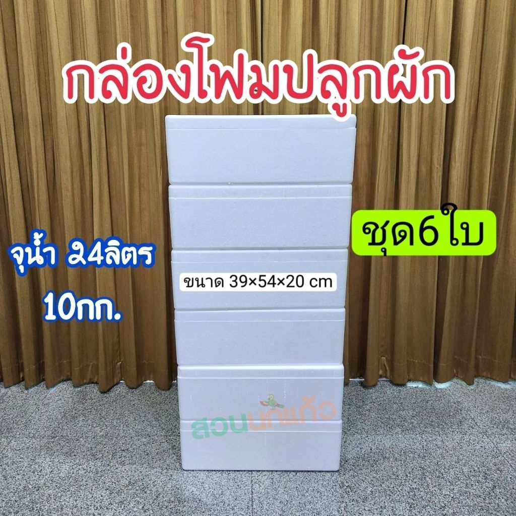 กล่องโฟมปลูกผักไฮโดรโปนิกส์ กล่องปลูกผัก ปลูกผักสลัด จุน้ำ 24 ลิตร ชุด 6 ใบ