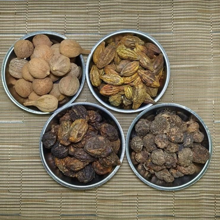 ตรีผลา สมอไทย,สมอพิเภก,มะขามป้อม,สมอเทศ