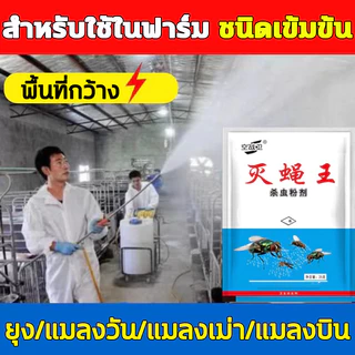 🦟23g ใช้ฆ่าแมลงวันบ้าน ไม่มีกลิ่น กําจัดแมลงวัน 100% ผสมผง 1 ถุง ต่อน้ำ 1 ลิตร ผงแห้ง/ผสมกับน้ำ เหยื่อกำจัดแมลงวัน