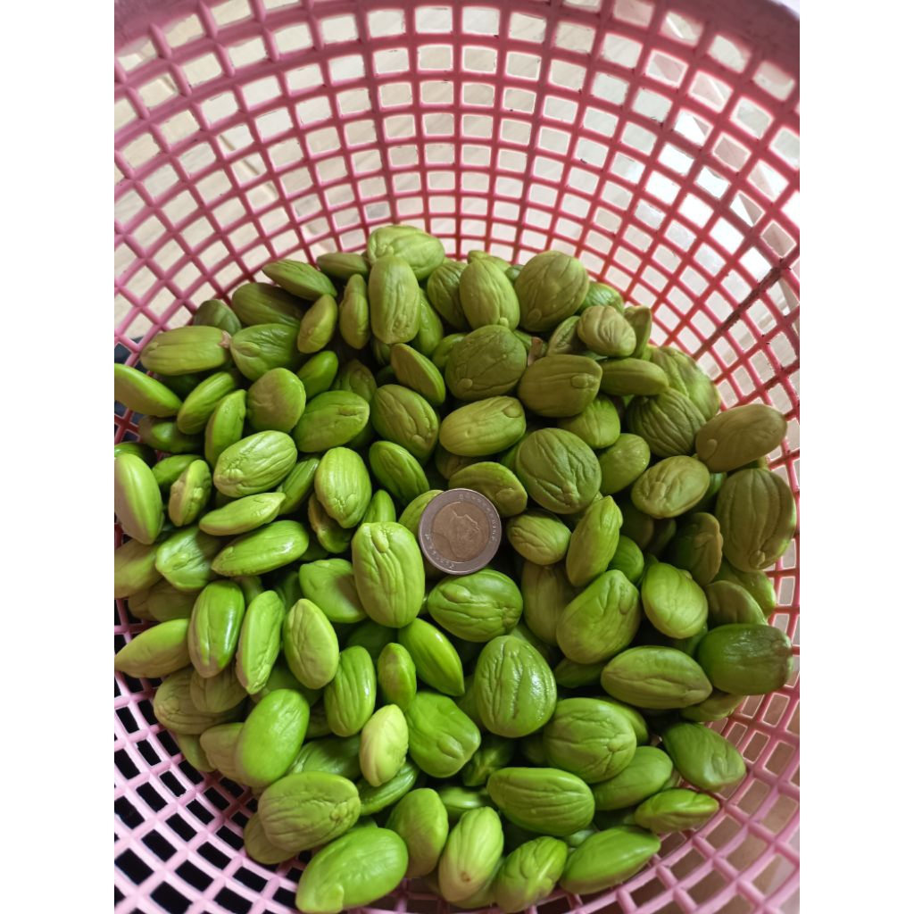 สะตอแกะสด ไม่แช่น้ำ ขนาด 1,000 กรัม