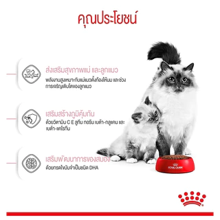 Royal Canin Mother & Baby cat 2 kg. (อาหารเม็ดสำหรับลูกแมวช่วงหย่านม 1- 4เดือนและแมวระยะตั้งท้อง)