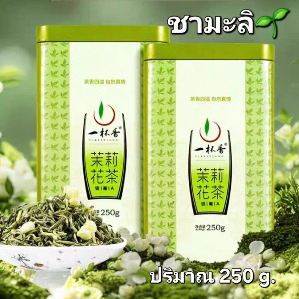 ✅️พร้อมส่ง🇹🇭 ชามะลิ ชาเขียวมะลิ YiBeiXiang (อี้เปยเซียง) #ชามะลิ #tea #molly tea