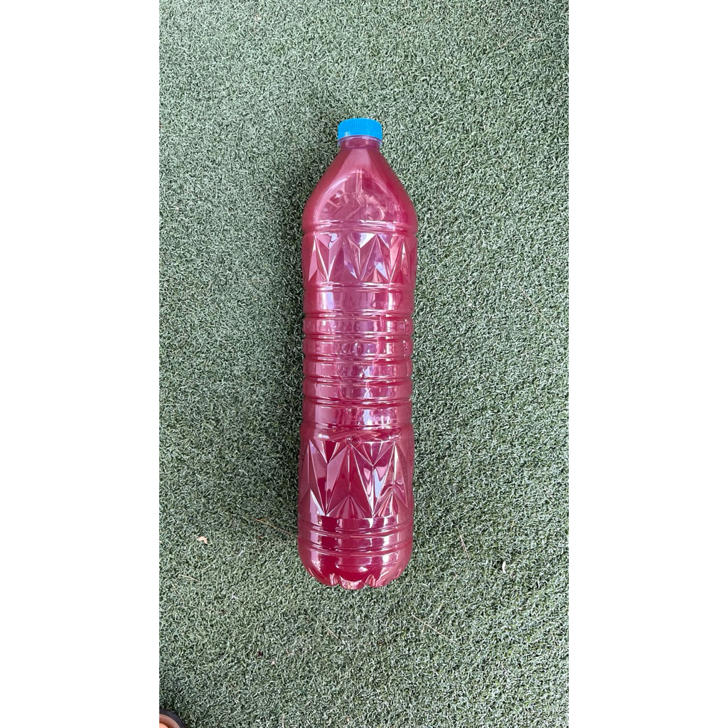 จุลินทรีย์น้ำแดง จุลินทรีย์สังเคราะห์แสง PSB