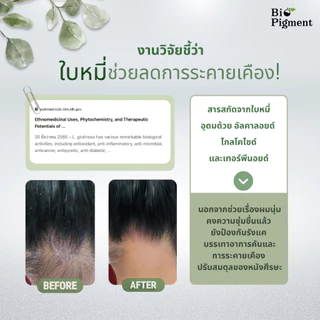 Bio Pigment Care Set-เซ็ตสำหรับผู้ที่ย้อมหงอกเป็นประจำ พรางหงอก+ฟื้นสมดุลหนังศีรษะ ลดการระคายเคือง
