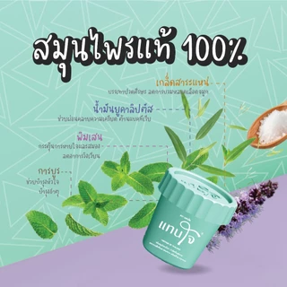 แทนใจ รุ่นกระถาง กลิ่นยูคาลิปตัส สีเขียว สีชมพู สีฟ้า สีม่วง สีส้ม สีดำ