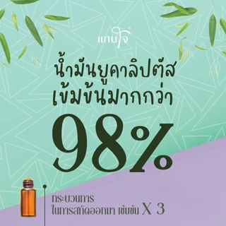 แทนใจ รุ่นกระถาง กลิ่นยูคาลิปตัส สีดำ - 1 ชิ้น
