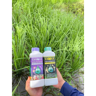1ลิตรแถมฟรี1ลิตรCABMAXแคลเซี่ยมโบรอน+VAMAXธาตุอาหารรวม7ชนิด