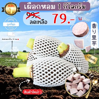 🛒Oishi-Fresh🥬เผือกหอม ปลอดสารพิษ 1 กก. รสชาติกรอบ สด ใหม่ ใย…