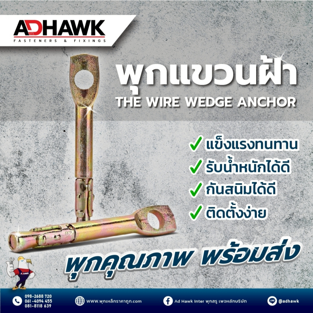 พุกแขวนฝ้า ราคาถูก พุกหัวห่วง รับน้ำหนักดี | Tie Wire Anchor พร้อมส่งในไทย