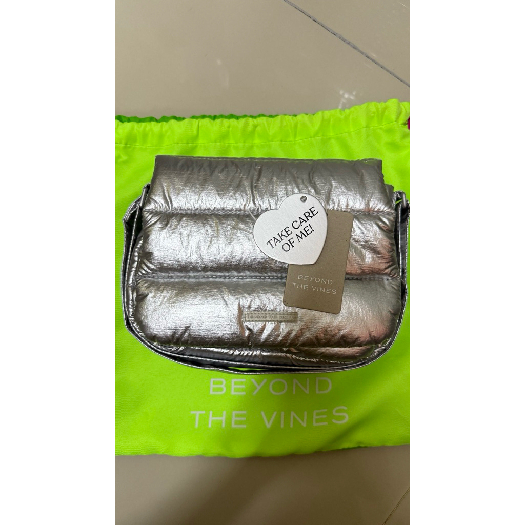 Beyond the vines silver poofy bag