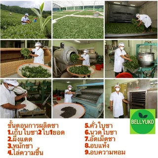 ชาอู่หลงก้านอ่อนเบอร์12 ออร์แกนิก ยอดคู่ที่5จากไร่ชา101 ขนาด200กรัมและ500กรัม