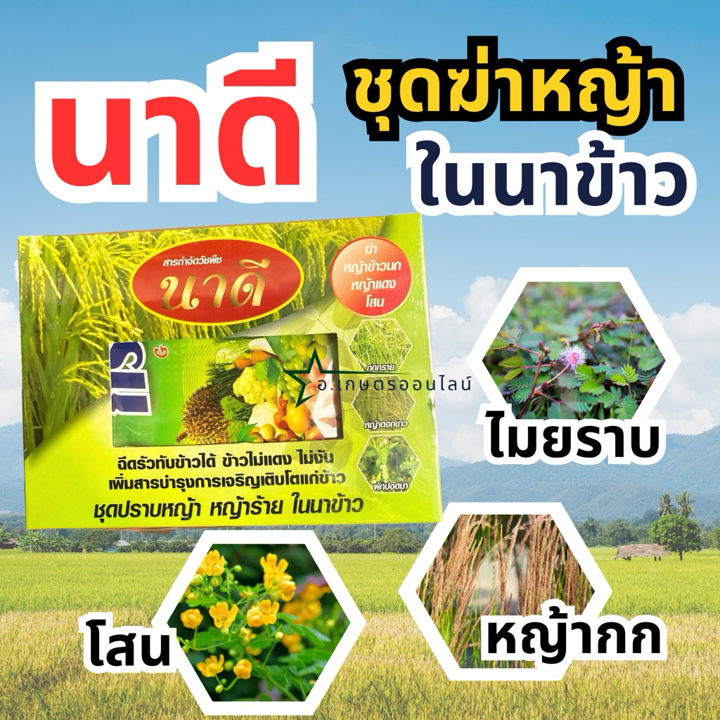 นาดี ชุดยาฆ่าหญ้าในนาข้าว