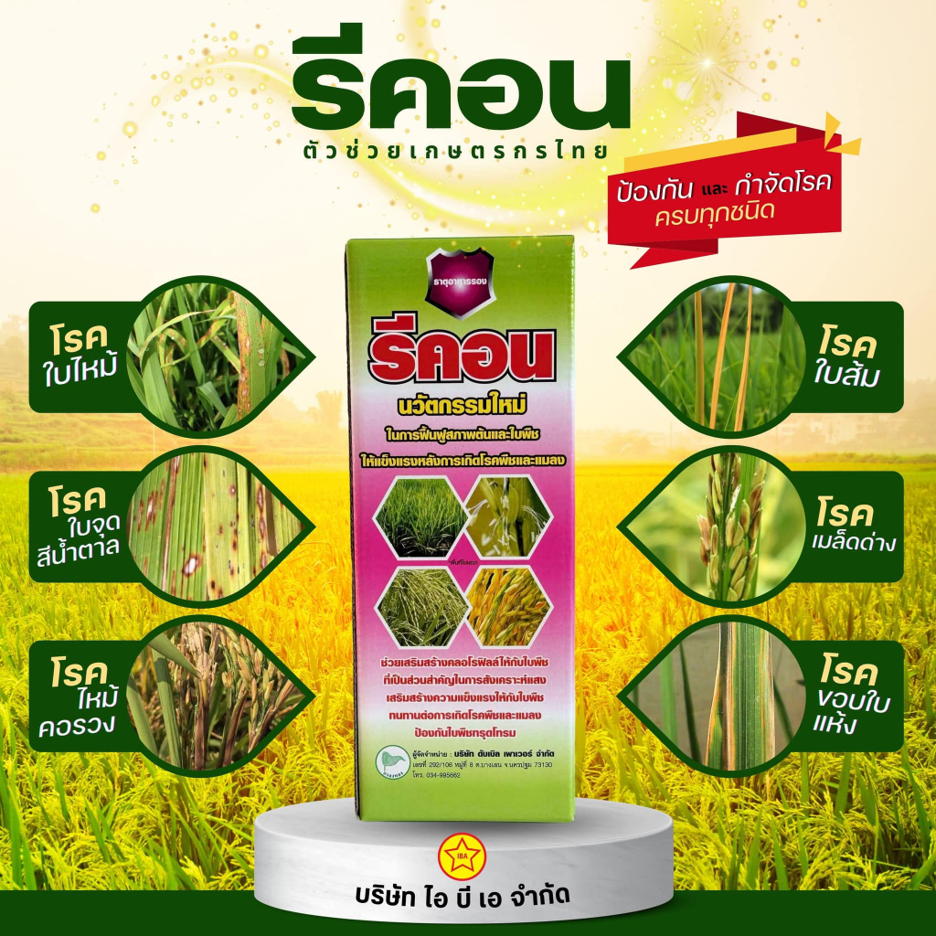 รีคอน 1ลิตร กำจัดเชื้อรา ไวรัส แบททีเรีย สารชีวภาพ โรคไหม้ โรคใบเหลือง โรคใบแดง โรคกาบใบแห้ง เน่าคอรวง ใบจุด เน่าโคน