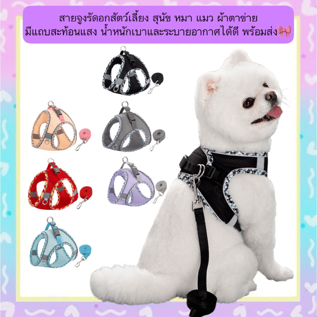 MG-503 สายจูงรัดอกสัตว์เลี้ยง 🐶🐱 สำหรับสุนัขและแมว ขนาดเล็ก-กลาง ผ้าตาข่ายระบายอากาศดี มีแถบสะท้อนแสง น้ำหนักเบา ใส่สบาย