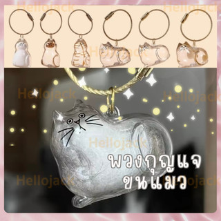 พร้อมส่ง พวงกุญแจแมว ขนแมว เก็บขนแมวห้อยกระเป๋า ทาสแมว ของเล่นแมว