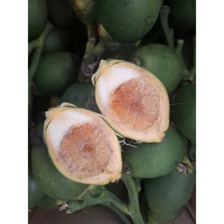 หมากอ่อนตัดสดหมากหน้าหวาน