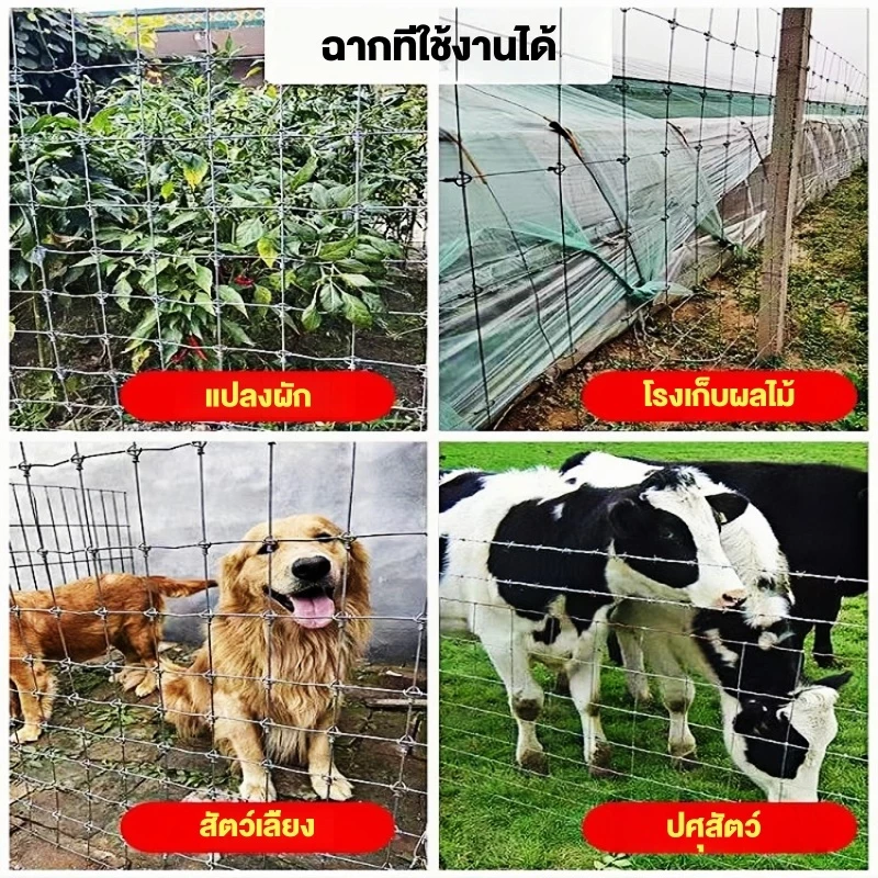 รั้วถักปม ช่องตา15ซม. ลวด2มม. ยาว30/50เมตร ลดราคาพิเศษ ราคาถูกสุด สินค้าใหม่ ไม่มีตำหนิ เหมาะล้อมแพะ วัว และสัตว์เลี้ยง thumbnail 4