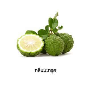 i Care ชุดทำน้ำยาล้างจานสูตรเข้มข้นขจัดคราบมันพิเศษ ฟองมาก ทำใช้เองได้ 15 ลิตร พร้อมวิธีทำง่ายๆ