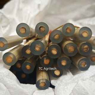 ส่งฟรี ไม้เคาะทุเรียนรุ่นไม้หวายแท้ 1 อัน (คละสีท่อยางสีแดงและสีใส)