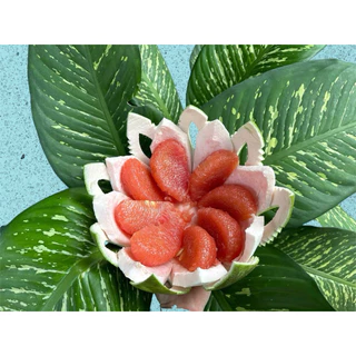 ส้มโอทับทิมสยาม1.5-1.7kg บรรจุ2ลูก(ผิวตำหนิผิวนิ่ม)