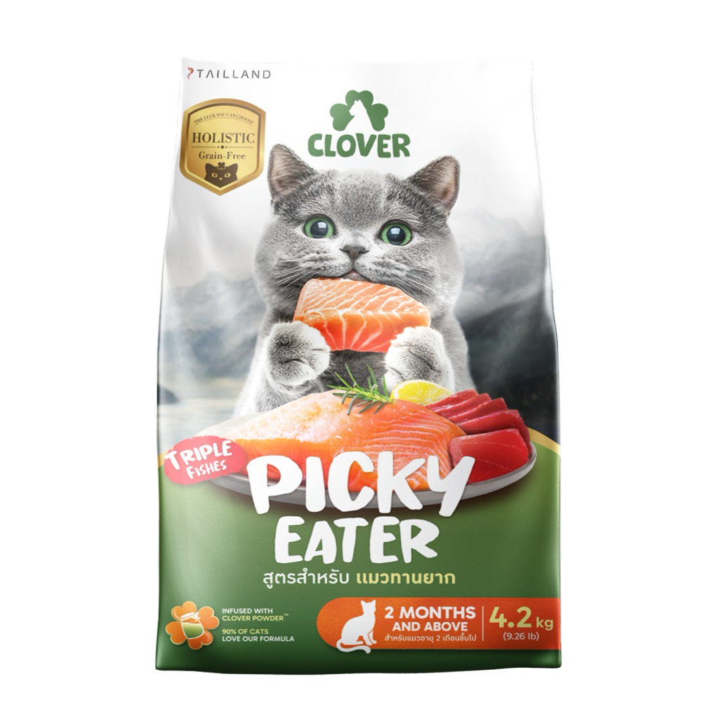 🐱🍀 Clover - Picky Eater (Triple Fishes) 4.2 kg 🐟