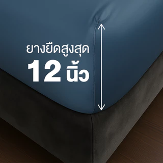 ibed ผ้าปูที่นอนเย็น นุ่มลื่น ป้องกันไรฝุ่น กันขนสัตว์ รุ่น Adaptive Cool Silk สีกรม
