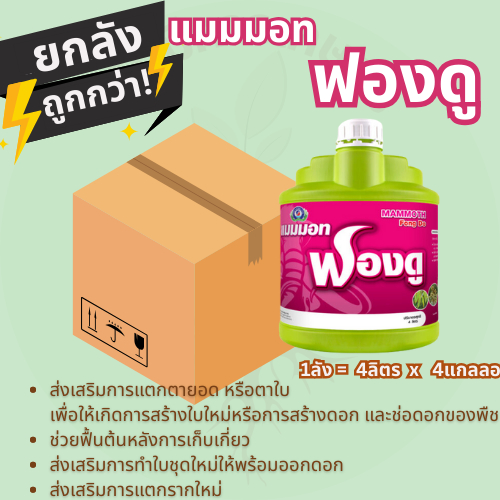 แมมมอท ฟองดู 4ลิตรx4แกลลอน (ยกลัง) ฟื้นต้นหลังเก็บเกี่ยว สร้างดอก เปิดตาดอก│เทพวัฒนา ตราปลาคู่│
