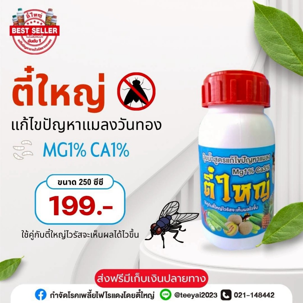 สารกำจัดแมลงวันทอง ตี๋ใหญ่
