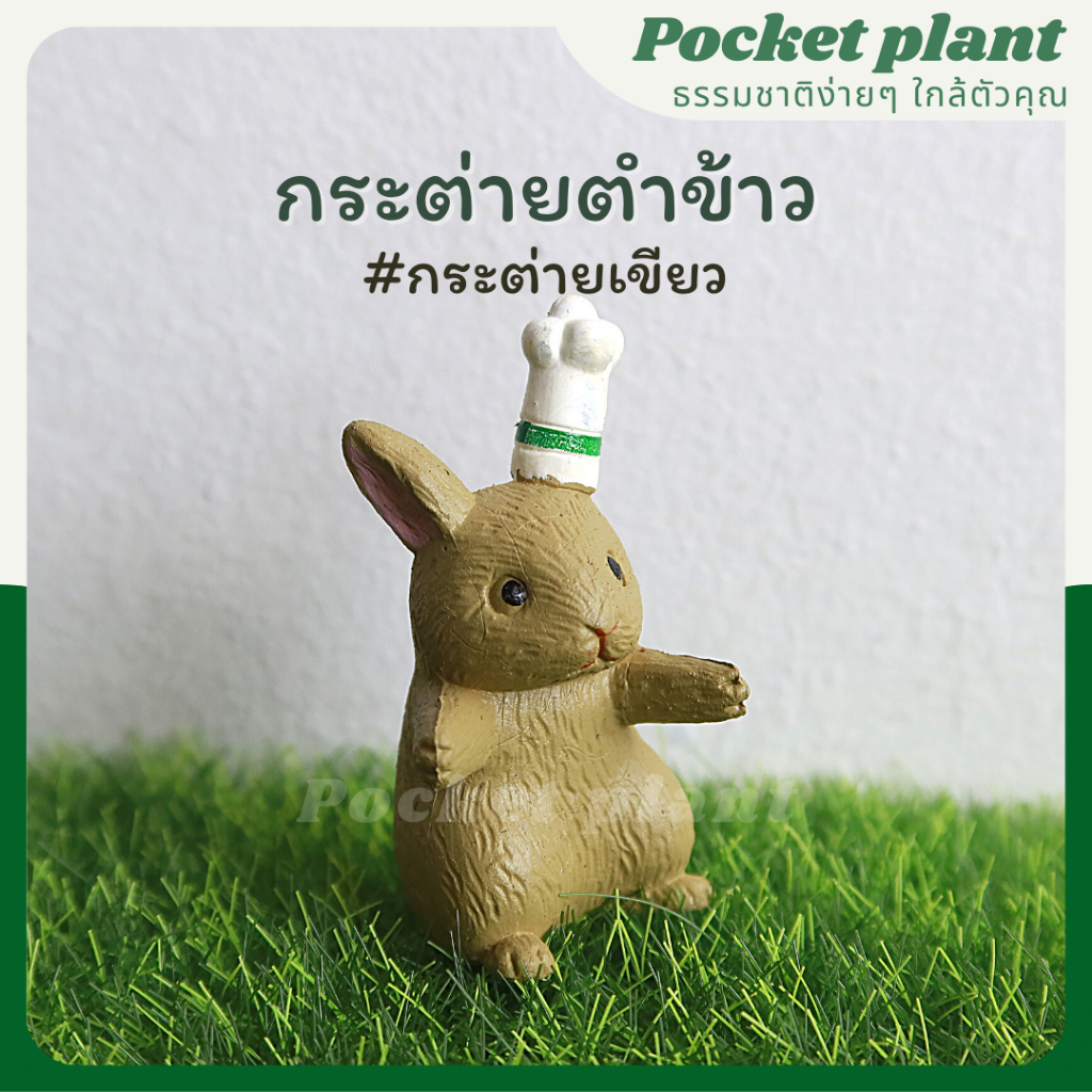 มุมมอง 2