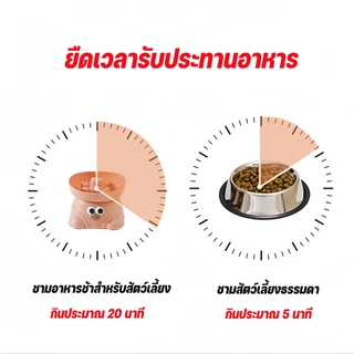 มีบางส่วน ชามอาหารสัตว์เลี้ยงช ามชะลอกิน ป้องกันการสำลัก ปกป้องคอ ความจุขนาดใหญ่ ทําความสะอาดง่าย