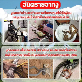 🐍ไม่มีงูในระยะ1000เมตร ผงไล่งู รุ่นอัปเกรด 500g ผงกันงู ผงกํามะถัน ไล่งูและแมลงพิษทุกชนิด
