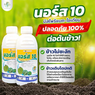 นอร์ส 10 บีสไพรีแบก-โซเดียม 500 ซีซี หัวเสือ สูตรน้ำ สูตรใหม่ ดูดซึมดีกว่าเดิม กำจัดหญ้าในนาข้าว