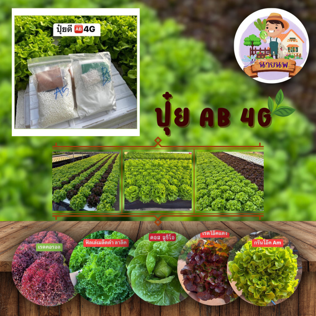 ปุ๋ยน้ำAB 4G+ ปุ๋ยab สำหรับปลูกพืชทางน้ำ เซตคู่ ได้ทั้งAB N.1