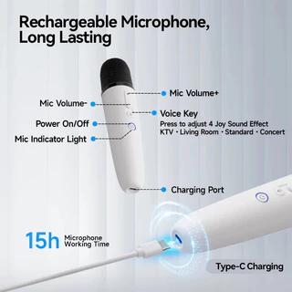 🚗 Puremic™ Tesla Mic – ไมค์ร้องเพลงไร้สายในรถ Tesla Model Y Model 3 Model X (USB-C/USB-A พร้อมใช้)