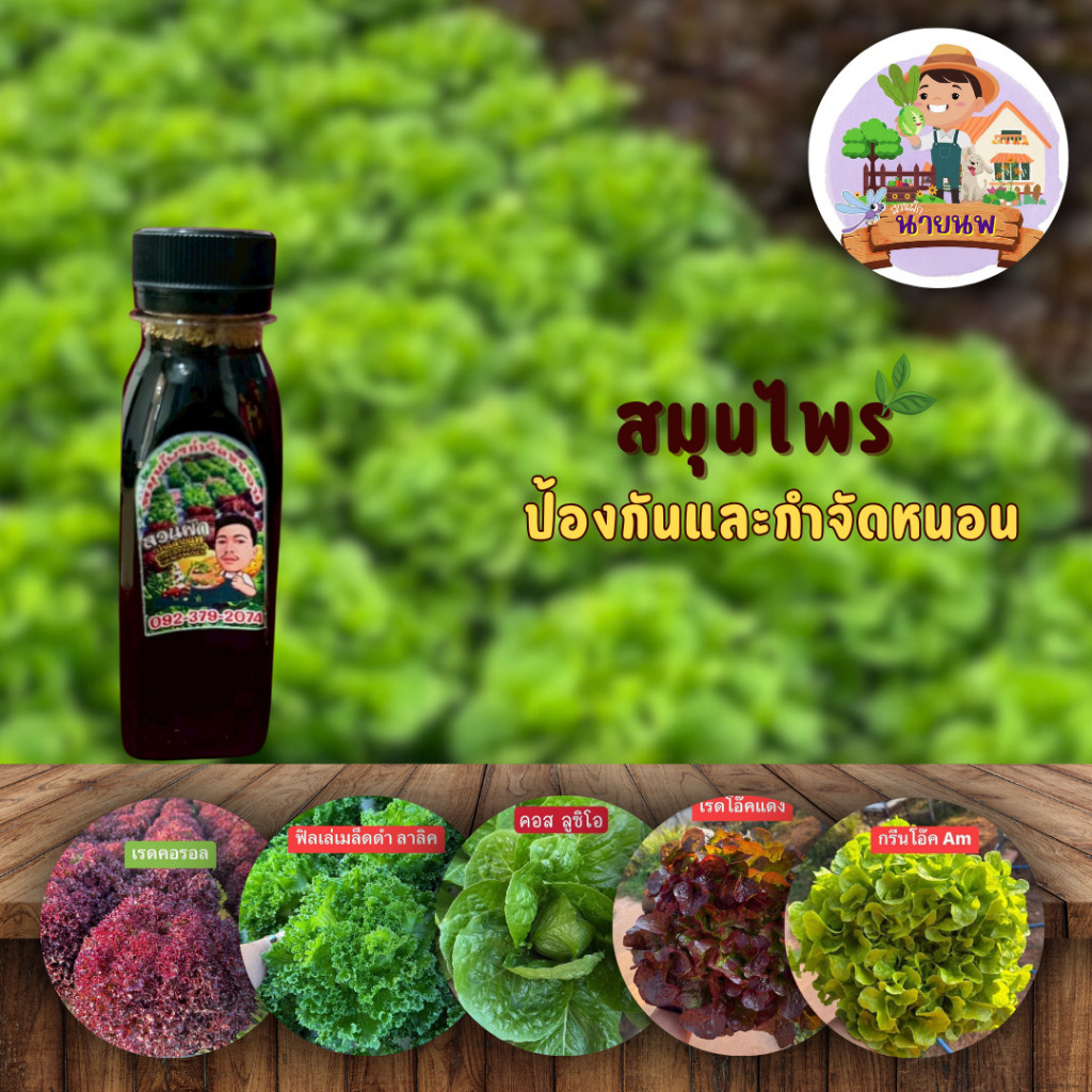 สมุนไพรไล่หนอนในผัก ขนาด 100 cc.  สำหรับพืชน้ำ