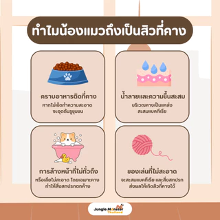 [Junglemonster] โทนเนอร์รักษาสิวแมว เช็ดคางแมว สิวหัวดำ Blackhead Kit For Cat