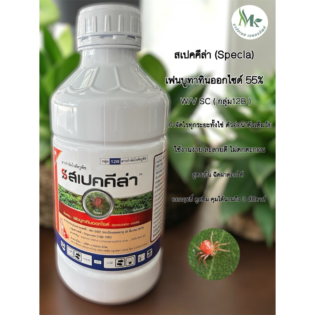สเปคคีล่า จากหมาแดง เฟนบูทาทินออกไซด์ 55%  W/V SC