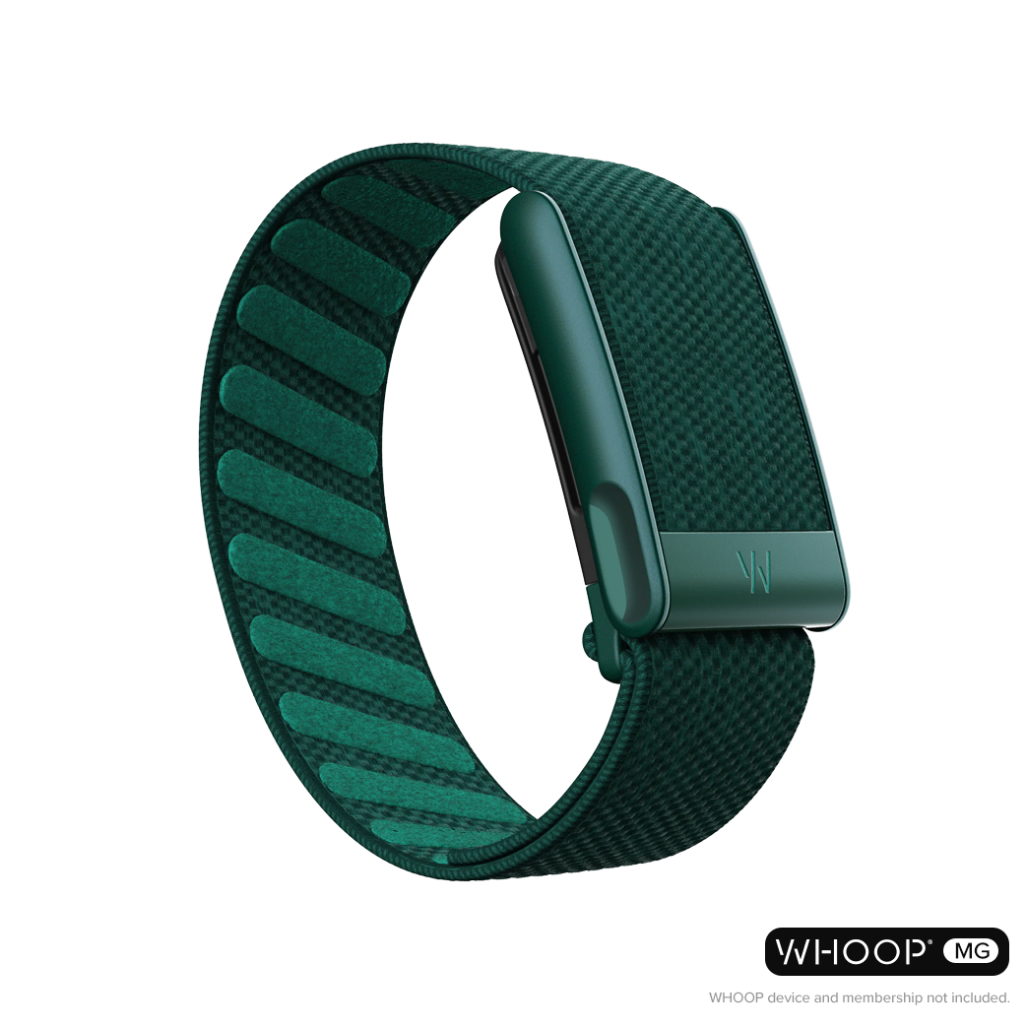 รูปภาพ 8