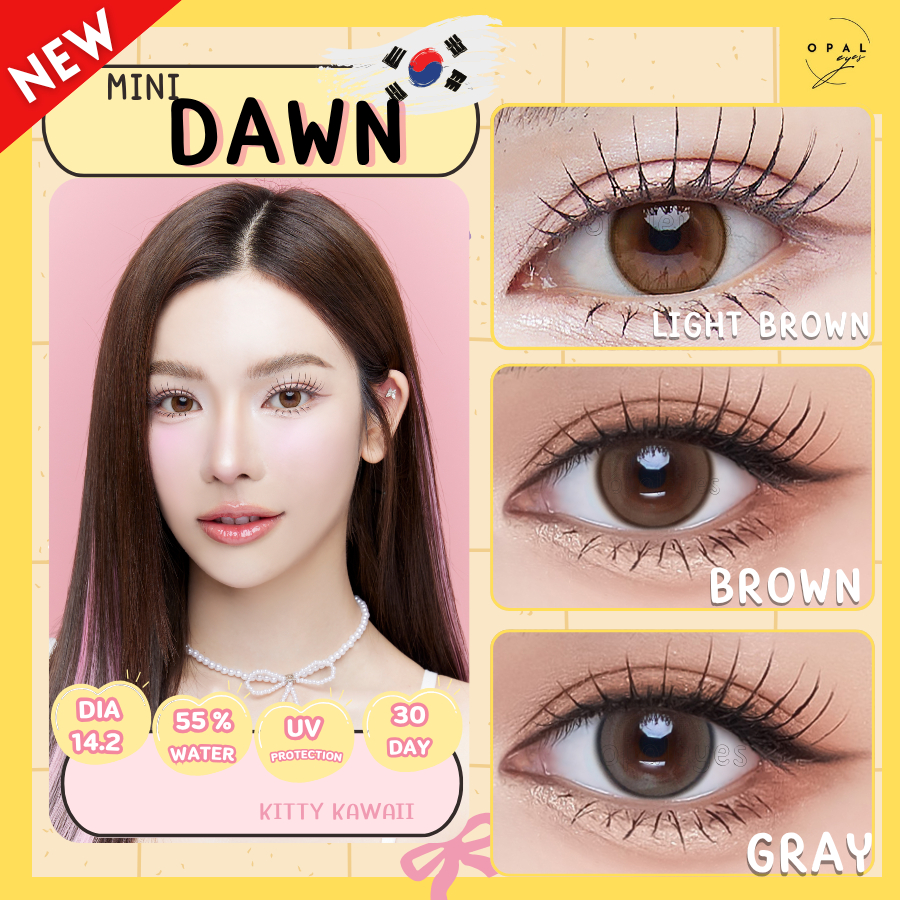 คอนแทคเลนส์ สีมาใหม่!!! Mini Dawn🌷 Light Brown/Brown / Gray  (Kitty Kawaii) ✨ขนาดมินิ✨