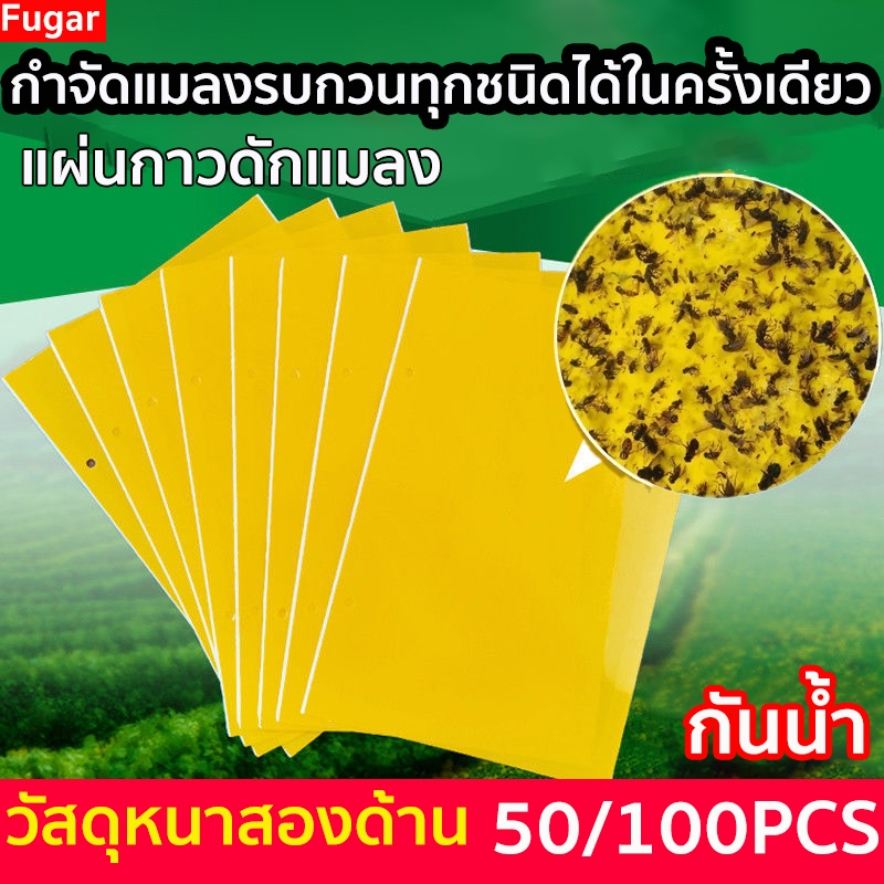 แผ่นกาวดักแมลง กาวทนแดดฝนรุ่นพิเศษ ไม่ต้องใช้เคมี แผ่นกาวดักจับแมลง สีเหลือง กาว 2 หน้า กระดาษจับแมลง กาวดักแมลงวันทอง