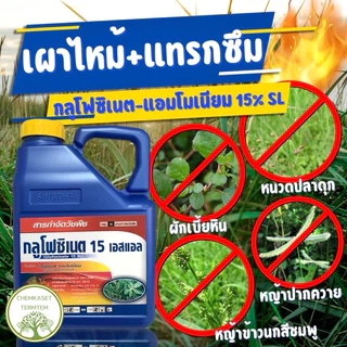 กลูโฟซิเนท 15% สิงห์ไทย เนื้อนำเข้า 100% สารกำจัดวัชพืชใบแคบและใบกว้าง ตายดี ตายทน ทนฝน ขนาด 4ลิตร