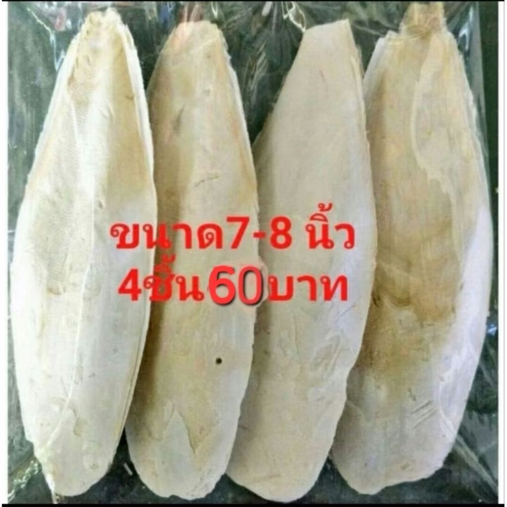 กระดองหมึก ลิ้นทะเลไม่ฟอกสี แคลเซียมนก7-8นิ้ว