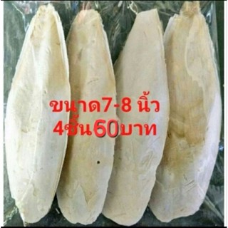 กระดองหมึก ลิ้นทะเลไม่ฟอกสี แคลเซียมนก7-8นิ้ว