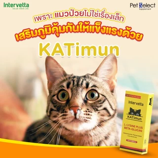 Katimun L-Lysine Plus Beta-glucan ช่วยเสริมสร้างภูมิคุ้มกันและกระตุ้นการรักษา วิตามินสำหรับแมว วอส.0108620016