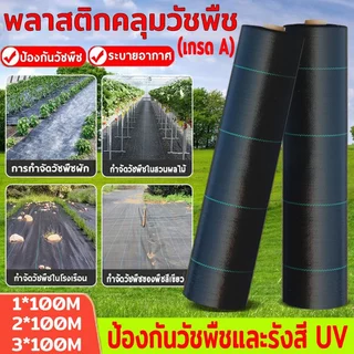 Daily Gold พลาสติกคลุมวัชพืช กำจัดวัชพืช ผ้าคลุมวัชพืช พลาสติกเกรดส่งออก ผสมUV ฆ่าหญ้า เห็นผลไวถายใน