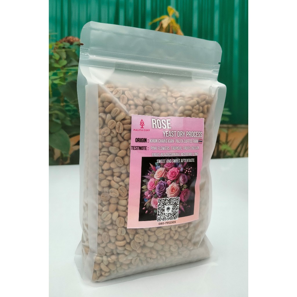 กาแฟสาร ยีสต์Rose : Natural  RO Yeast Process,Green coffee Beans