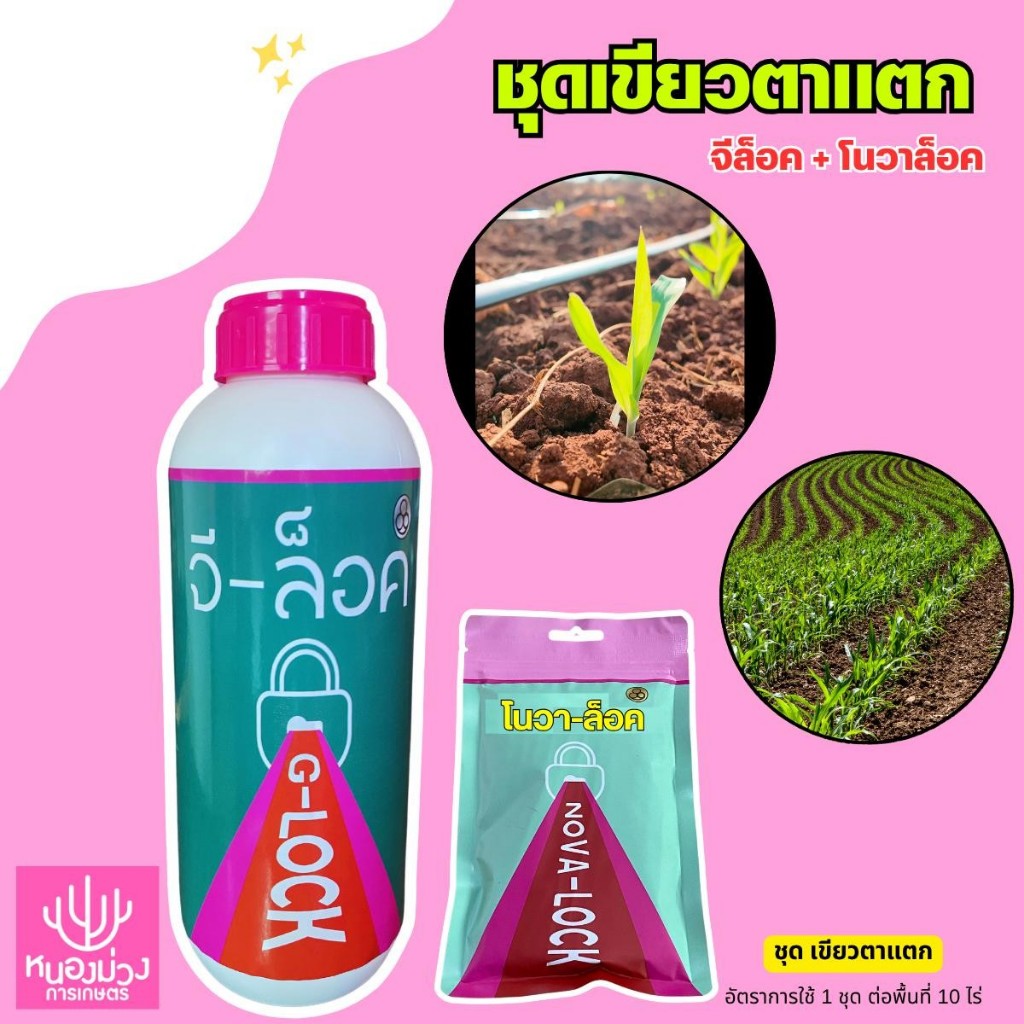 ฮอร์โมน ชุดเขียวห่วงใย จีล็อค + โคล็อค ขนาด 1 ลิตร ต่อพื้นที่ 10 ไร่
